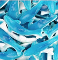 Requin bleu géant sans gélatine (1 pièce)