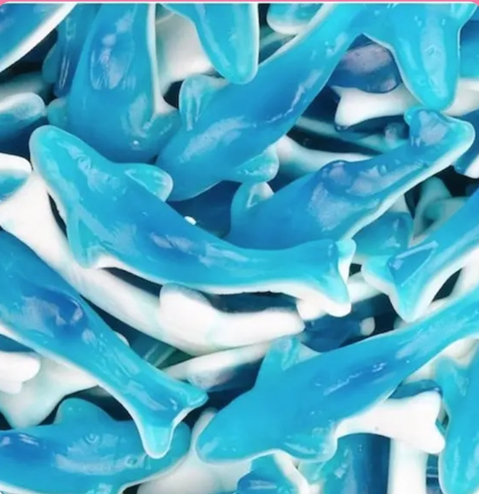 Requin bleu géant sans gélatine (1 pièce)