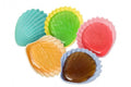 coquillage (5 pièces)